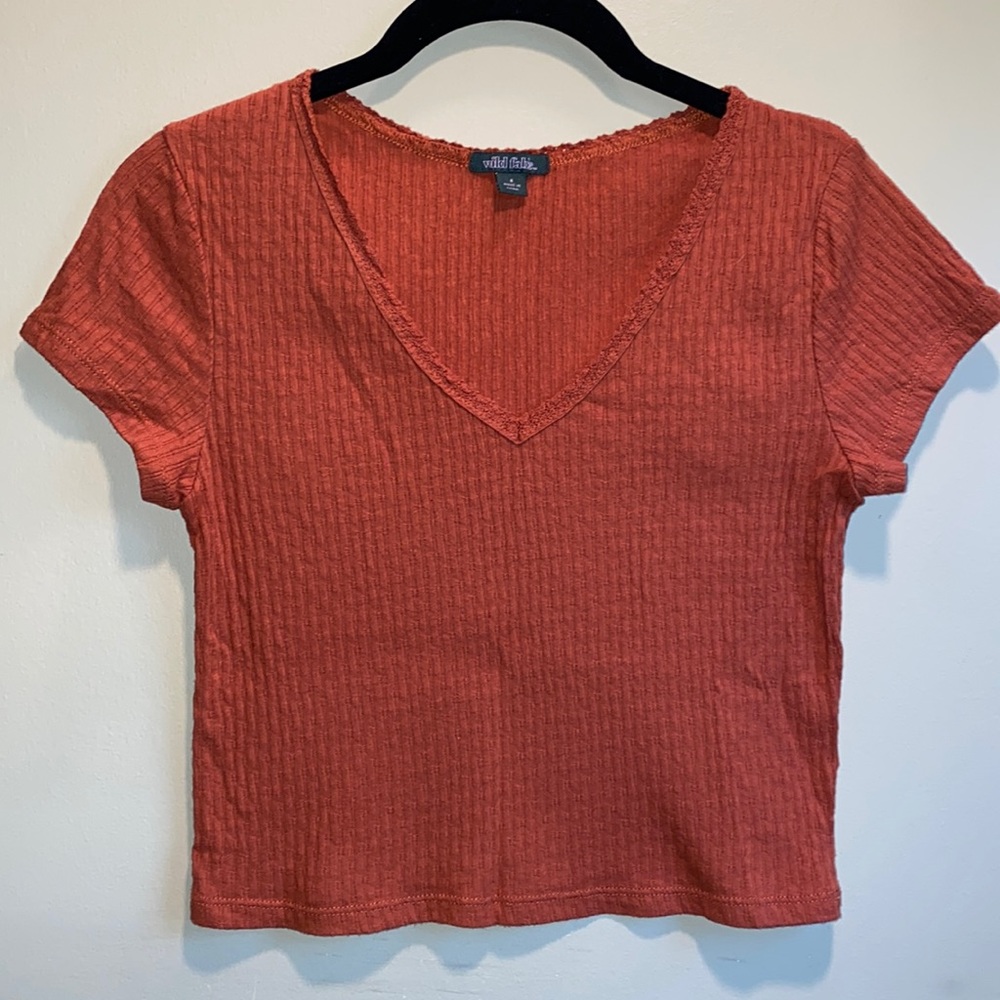 Rust Orange Wild Fable Cropped Tee